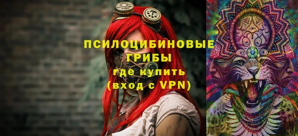 гидропоника Алзамай