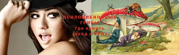 гидропоника Алзамай