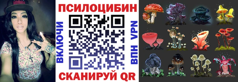 Галлюциногенные грибы Psilocybe  цена наркотик  Чадан 