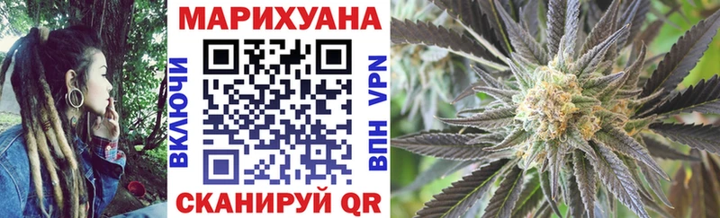 Марихуана конопля  где продают наркотики  Чадан 